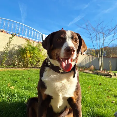 Appartamento Lebensgrund Reichenbach im Vogtland