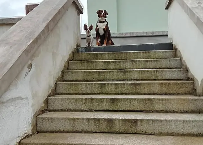 Lebensgrund Appartement *