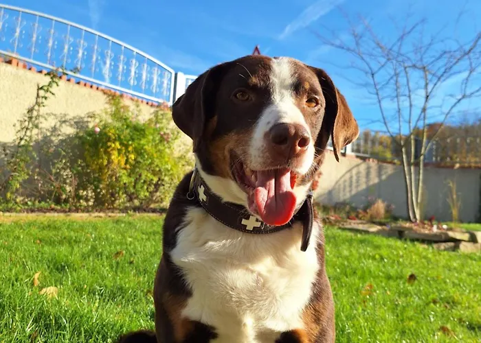 Appartement Lebensgrund Reichenbach im Vogtland